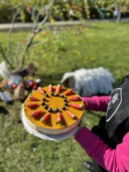 Mangový cheesecake